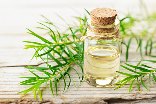 Tea tree oil in face washes for men with oily and acne-prone skin